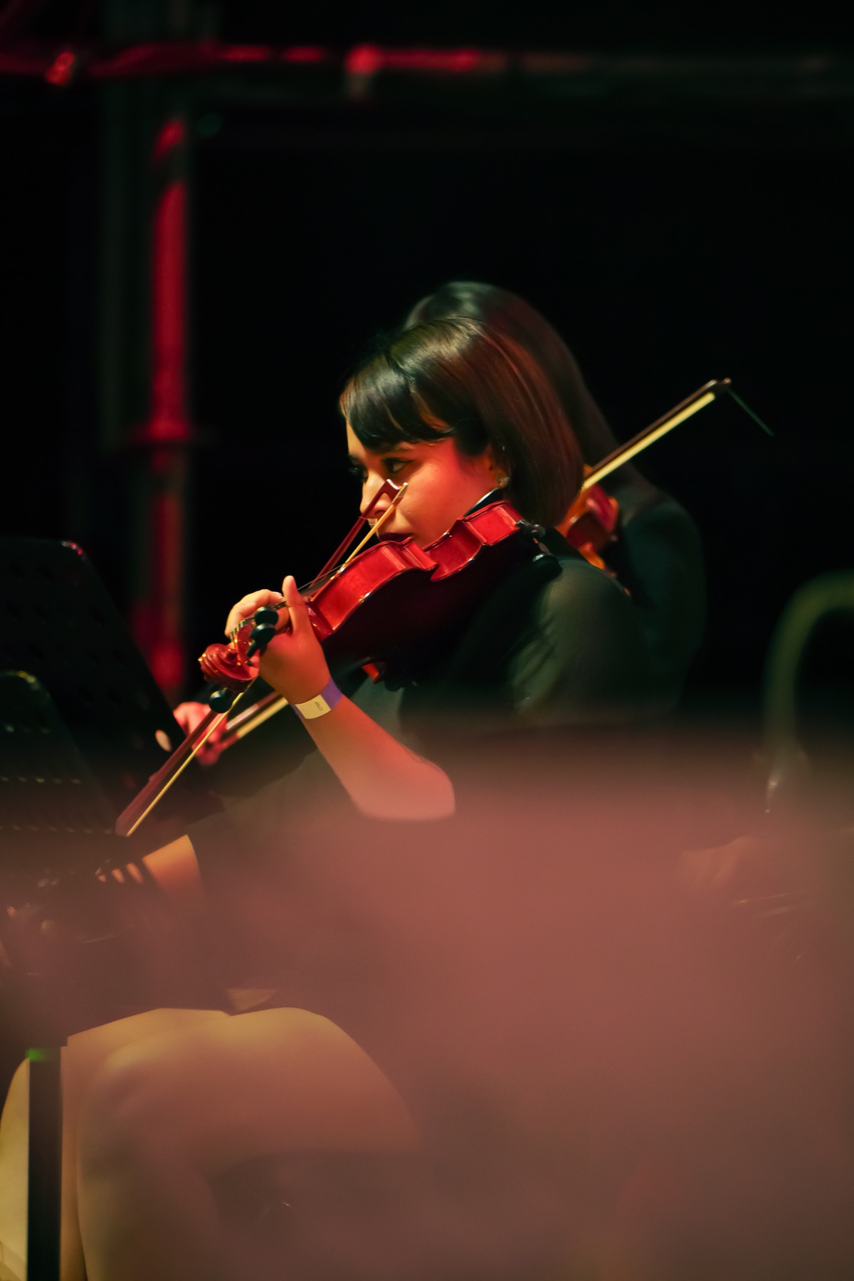 Violinista durante el concierto